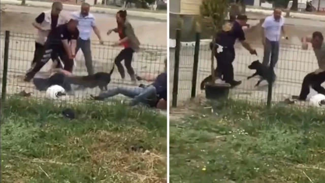 Peş peşe tetiğe bastı! Sokak köpeğinin saldırdığı vatandaşı polis memuru güçlükle kurtardı