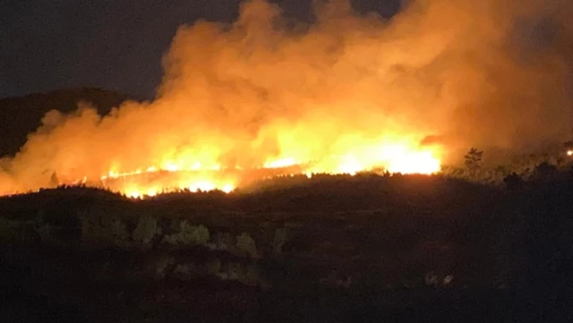 Uşak, Çanakkale ve Balıkesir’de orman yangını alarmı! Çok sayıda ev tahliye edildi
