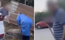 Yaşlı çiftten sokak köpeklerini besleyen kadına saldırı! Sopayla darbettiler