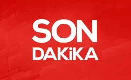 İstanbul’da 1 kişinin öldüğü kaza sonrası metrobüs şoförünün ilk ifadesi: Frene bastım ama tutmadı