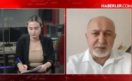 Prof. Dr. Şenol Babuşçu: Yıl sonu dolar 38, euro 43 olacak