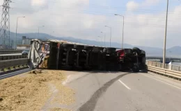 Arı sokması kazaya neden oldu: Devrilen tır 50 metre sürüklendi