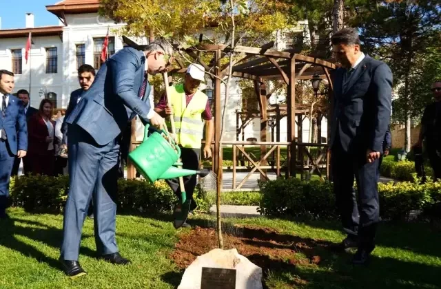 Bakan Vedat Işıkhan Bilecik’te Çınar Fidanı Dikti