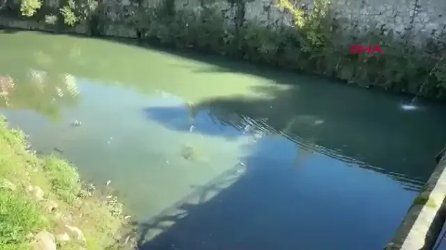 Bartın Irmağı’ndaki Su Seviyesi Düşünce Balık Ölümleri Yaşandı