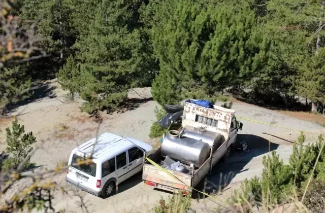 Bolu’da Ağaca Asılı Halde Bir Adam Ölü Bulundu