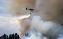 Ekvador’da orman yangını nedeniyle olağanüstü hal ilan edildi