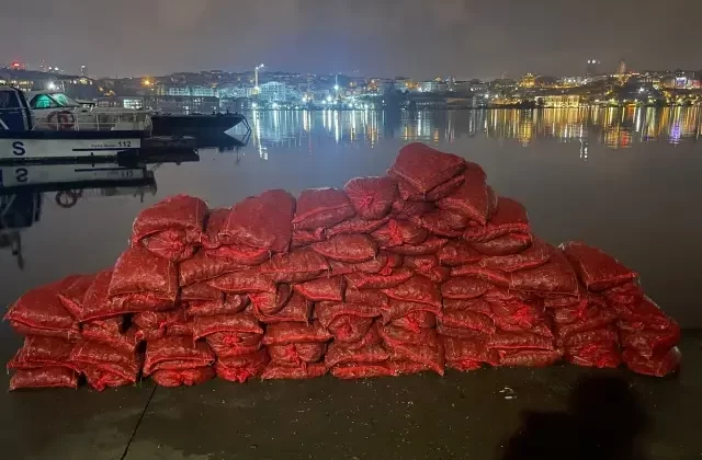 Eminönü’nde Kaçak Midye Operasyonu: 3 Ton Midye Ele Geçirildi