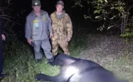 Rusya’da gece eve giren ayı, baba ve oğlunu öldürdü