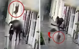 Yolda yürürken başına köpek düşen kadın ağır yaralandı