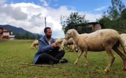 Yurt dışına gitti, 2 üniversite bitirdi! Tahsilli çoban hedeflerinden vazgeçmiyor hem koyun otlatıyor hem sınava hazırlanıyor