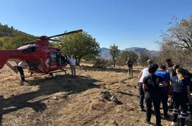 Ağaçtan Düşen Kişi Hava Ambulansıyla Hastaneye Sevk Edildi