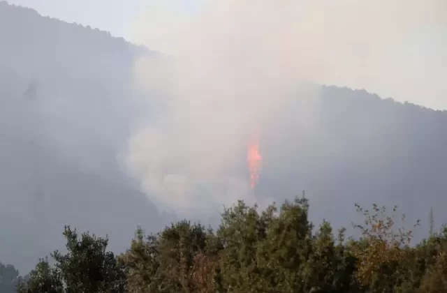 Denizli’deki Orman Yangını 5. Gününde Sürüyor