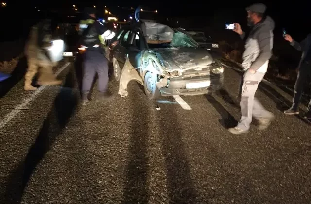 Elazığ’da İneğe Çarpan Otomobilde 3 Yaralı