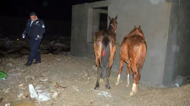 Gıda teröristlerinin en çok at ve eşek eti yedirdiği iki ilimiz