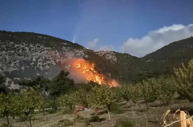 İzmir Kemalpaşa’da Orman Yangını Kontrol Altına Alındı