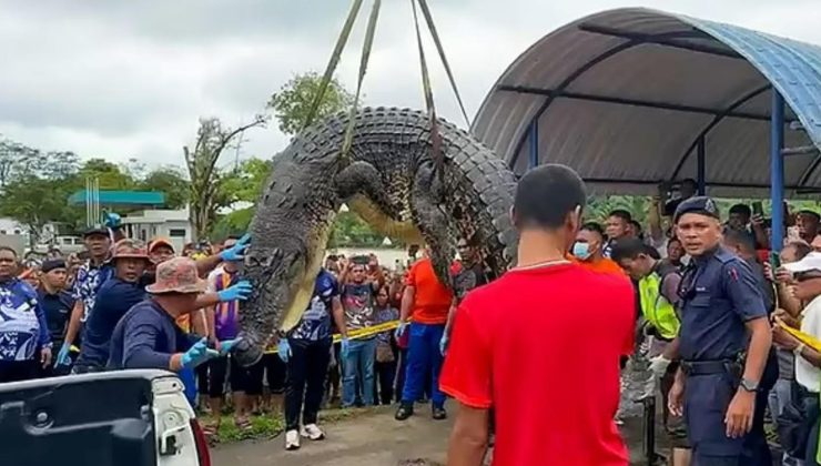 Malezya’da uzun süredir kayıp olan 6 yaşındaki kızın ceset parçaları, 2 timsahın karnında bulundu