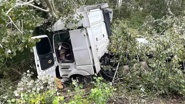 Sakarya’da Kontrolden Çıkan Tır Ağaçla Çarpıldı: Sürücü Yaralandı