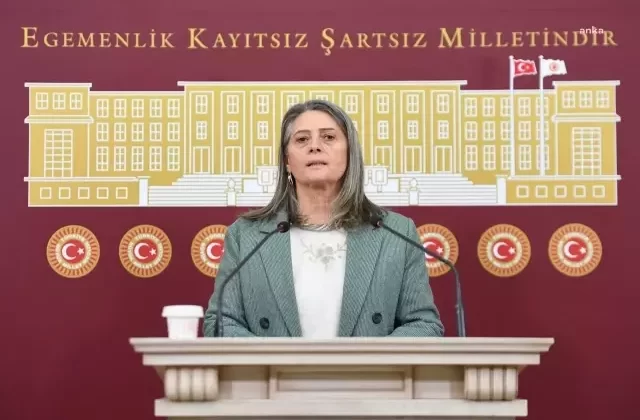 Sibel Suiçmez’den Evde Bakım Yardımları İçin Soru Önergesi