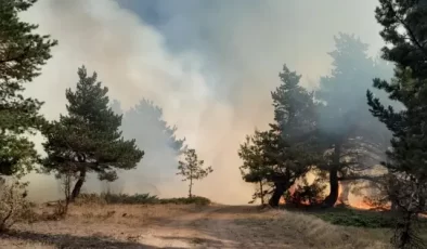 Sivas’ta Ormanlık Alanda Yangın Çıktı