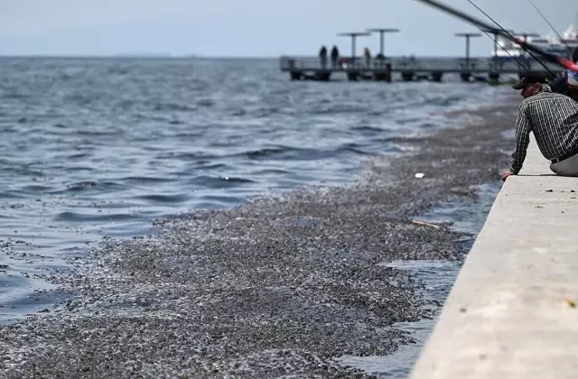 Savcılık İzmir Körfezi’ndeki kirliliğin sorumluları hakkında harekete geçti