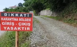 Tunceli’de şap hastalığı paniği: İlçede karantina uygulaması başladı