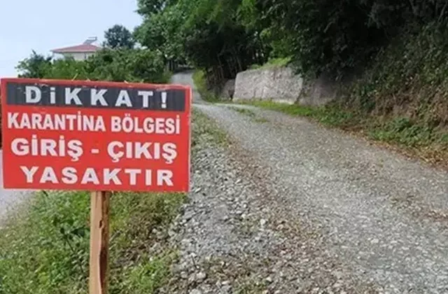 Tunceli’de şap hastalığı paniği: İlçede karantina uygulaması başladı