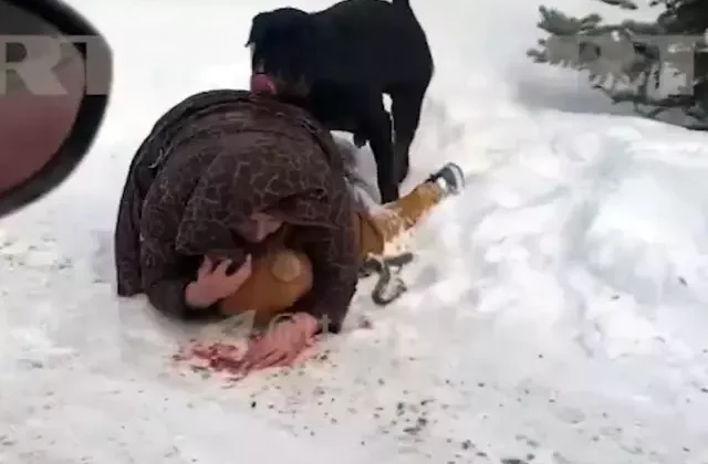 Annelik içgüdüsü böyle bir şey! Çocuğunun üstüne kapanıp kendi vücudunu kalkan yaptı