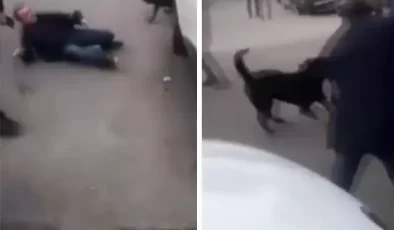 Bağcılar’da yasaklı pitbull saldırısı: O anlar kameralarda