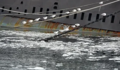 Çanakkale Boğazı’nın kabusu müsilaj 5 yıl sonra geri döndü