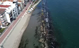 Deniz 10 metre çekildi, tarihi Kral Yolu yüzyıllar sonra ortaya çıktı