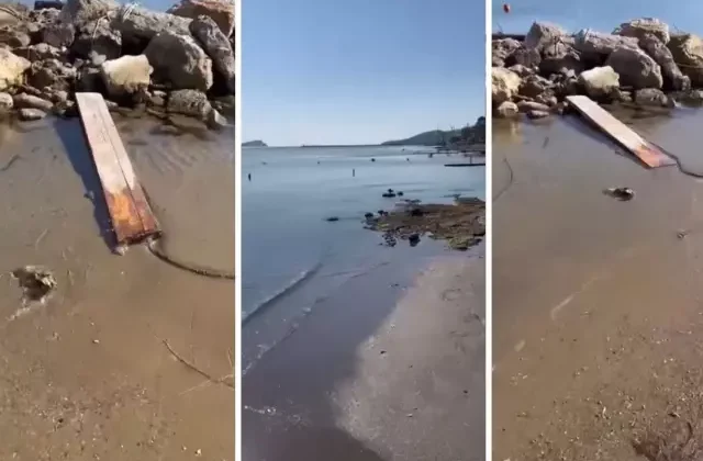 Ege’deki depremler sonrası İzmir’den gelen görüntü tedirgin etti