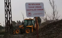 Hatay’da kuş gribi paniği! Apar topar karantinaya alındı