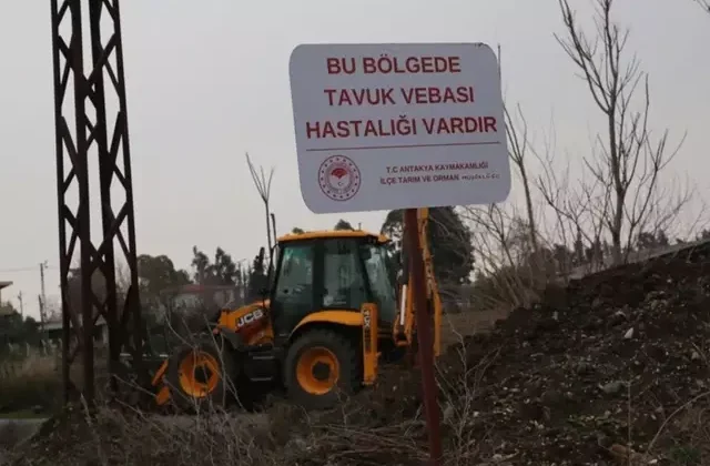 Hatay’da kuş gribi paniği! Apar topar karantinaya alındı