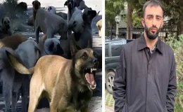 Önce başıboş köpekler saldırdı, sonra sahipleri feci şekilde darbetti