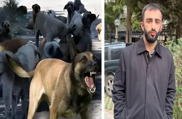 Önce başıboş köpekler saldırdı, sonra sahipleri feci şekilde darbetti