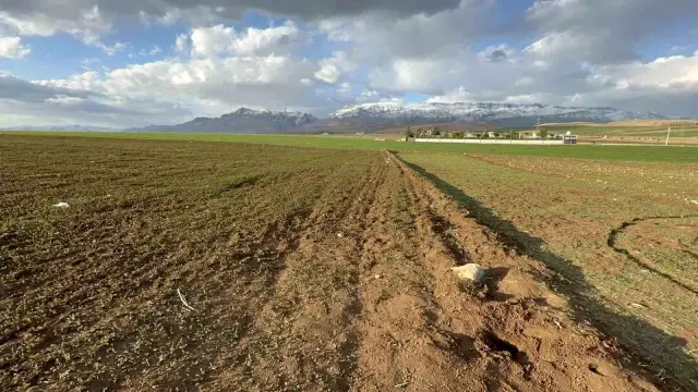 Şırnak’ta 3 günlük bebeğin cesedi bulundu