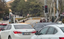 Trafik ışıklarını görenler mest oldu! Araçlarından inip fotoğraf çektirdiler