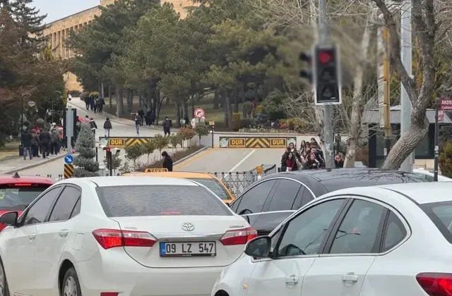 Trafik ışıklarını görenler mest oldu! Araçlarından inip fotoğraf çektirdiler