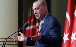 2 yaşındaki Rana’nın ölümünün ardından Erdoğan’dan sokak hayvanlarına ilişkin mesaj