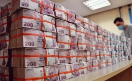 Çiftçilere 3,3 milyar lira destek ödemesi bugün başlıyor