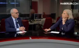 Doğan Demir: Bahçeli’nin süreci başlatmasını kıymetli buluyorum, Kürt açılımı ilerliyor