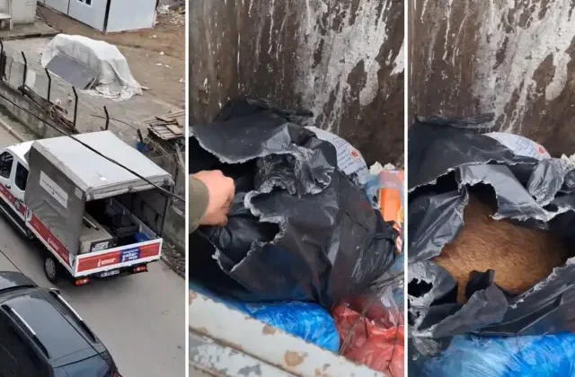 İlçeyi ayağa kaldıran görüntü! Belediye başkanı özür dilemek zorunda kaldı