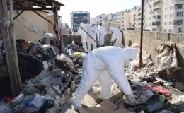 Mahalleli ihbar etti, ekipler neye uğradığını şaşırdı