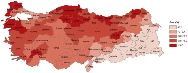 TÜİK rakamları paylaştı! İşte Türkiye’de yaşlı nüfusu en fazla olan 3 ilimiz