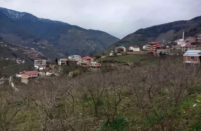 35 yıllık tartışma sona erdi! Giresun ve Gümüşhane arasında sınırlar değişti