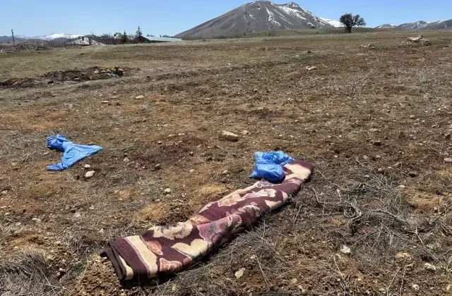 72 yaşındaki adam başıboş sokak köpekleri tarafından öldürüldü