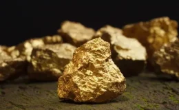 Arazisinden 150 ton altın çıkan çiftçi 1 kuruş alamayacak