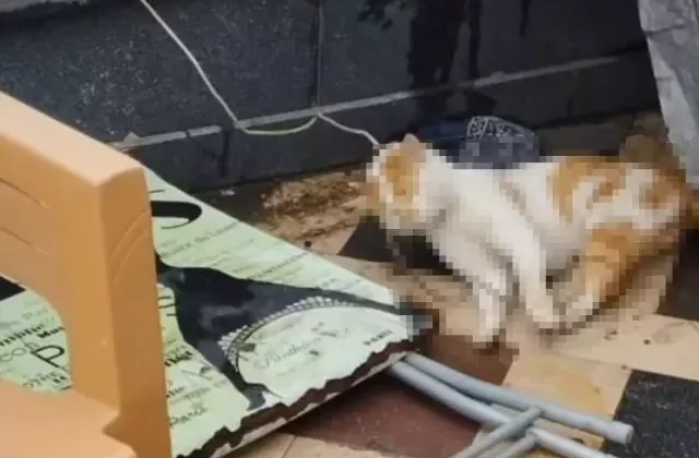 Bunu yapanlar 16 yaşında! Cami avlusunda vicdanları sızlatan olay