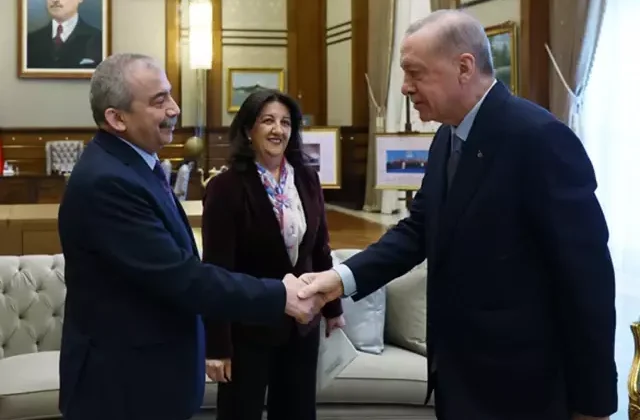 Cumhurbaşkanı Erdoğan’dan Sırrı Süreyya Önder talimatı