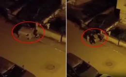 Kağıt toplayan kadının üstüne çöp konteyneri devrildi